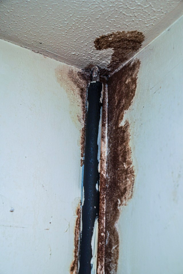 Mould and damp can be seen in the cupboards