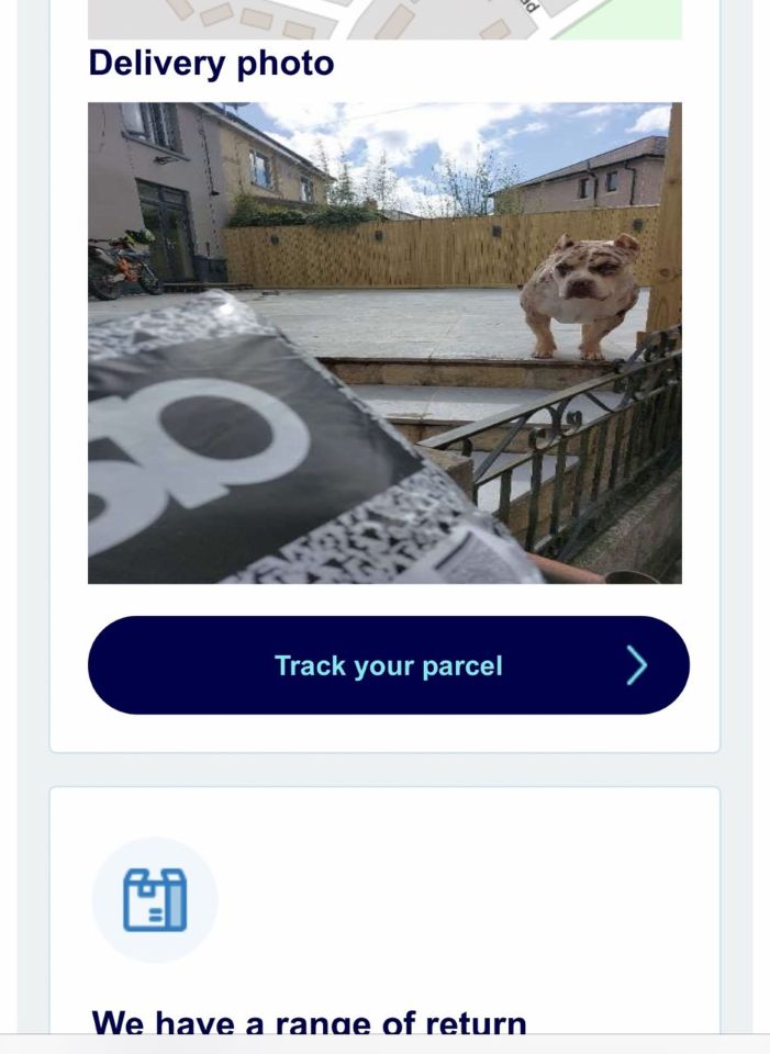 The driver took the 'proof of delivery' photo with the dog in the background