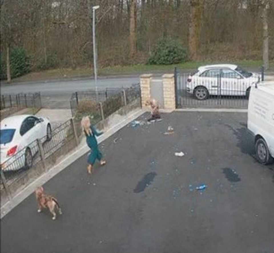 Lucy discovering the shredded parcel on her drive