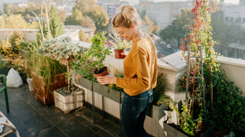 We all have the best intentions to sort the garden out - but it can feel overwhelming