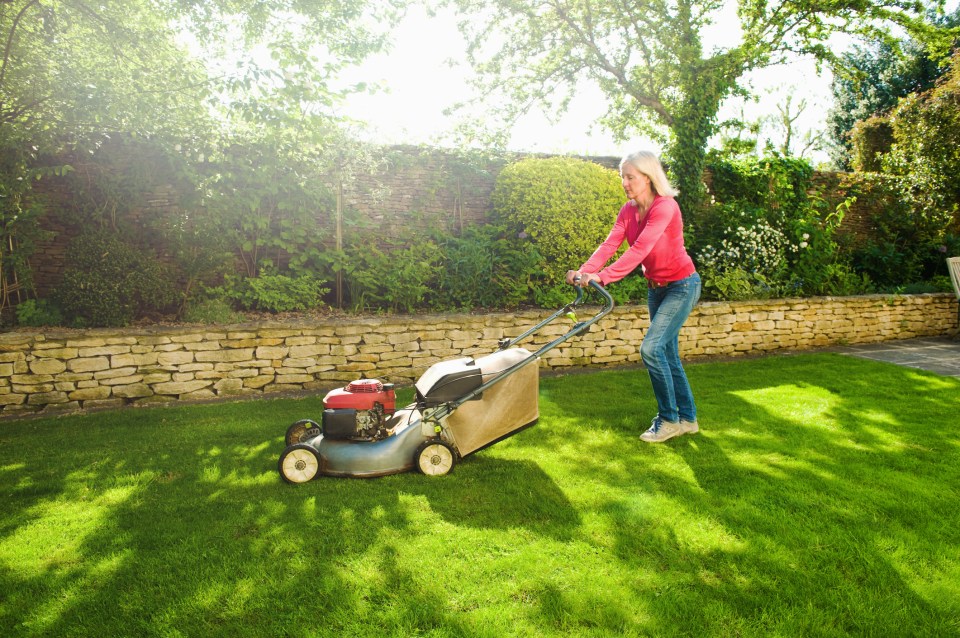 March and April are the times to start getting on top of lawn mowing