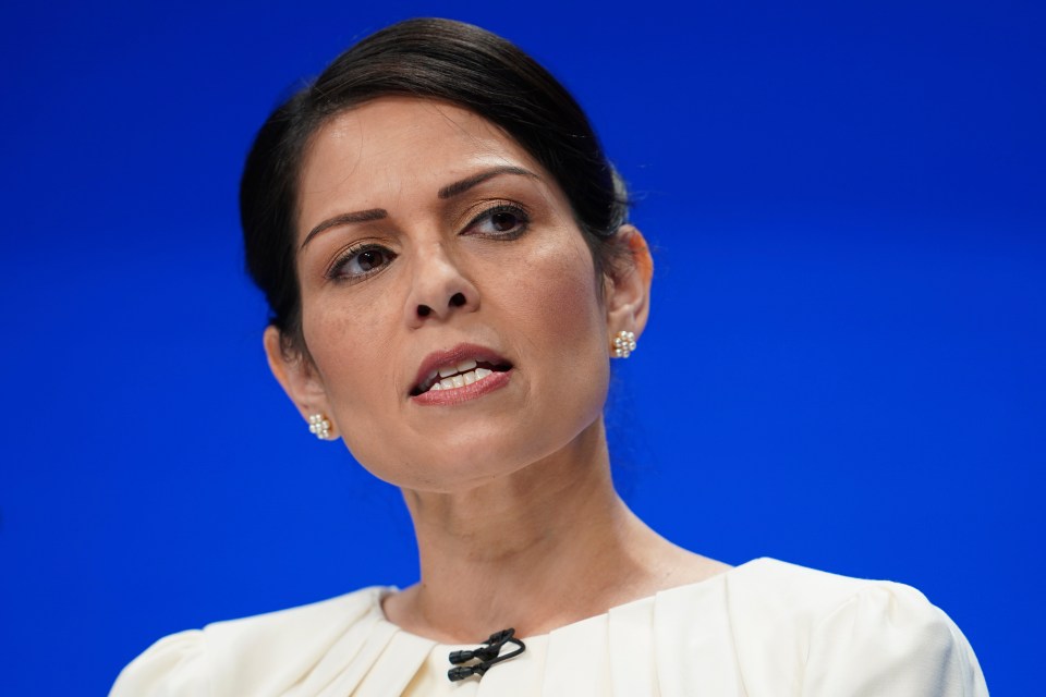 Priti Patel says peers could wreck the life of workers and cost lives