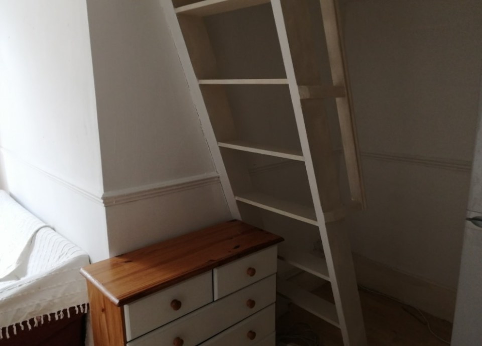 Tenants have to climb a ladder to get to bed