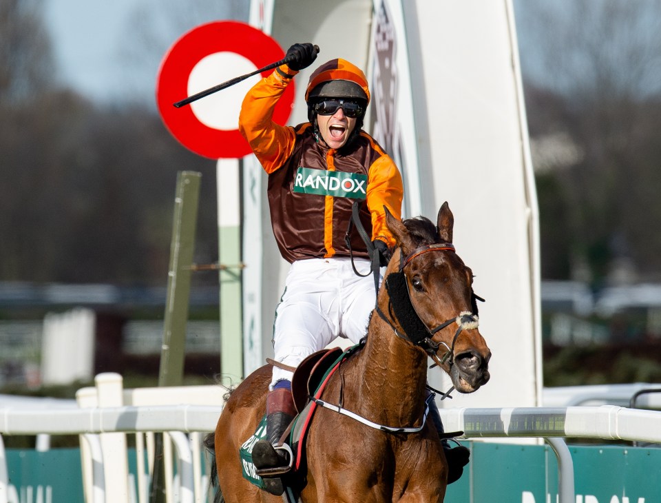 Waley-Cohen celebrates winning the Grand National on 50-1 outsider Noble Yeats