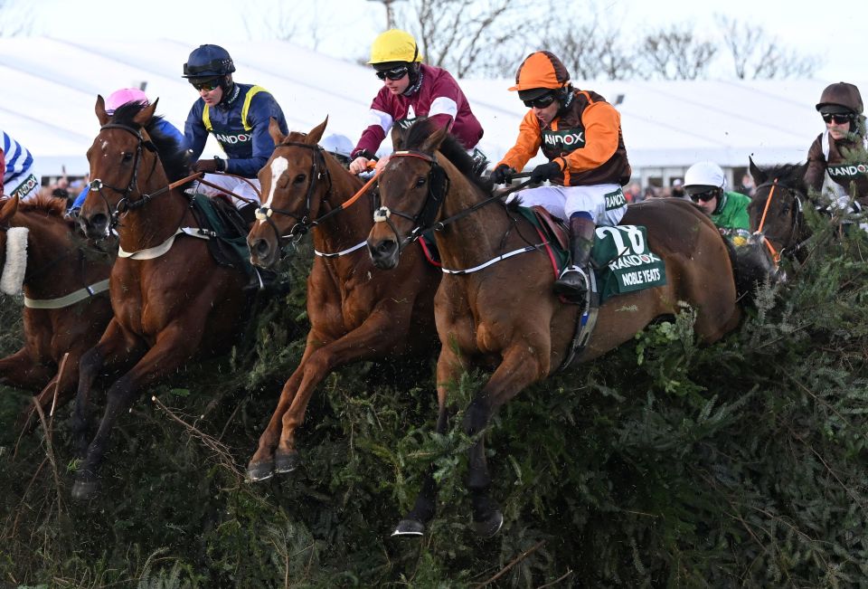 Amateur jockey Waley-Cohen saw off Any Second Now, a horse owned by billionaire JP McManus