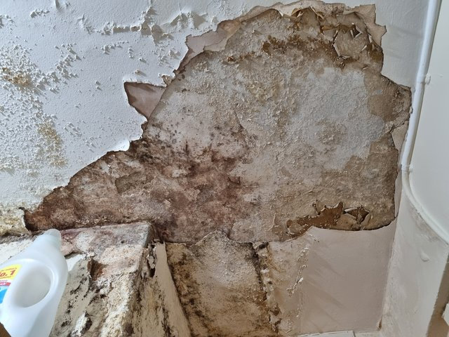 The council property is riddled with mould and leaks