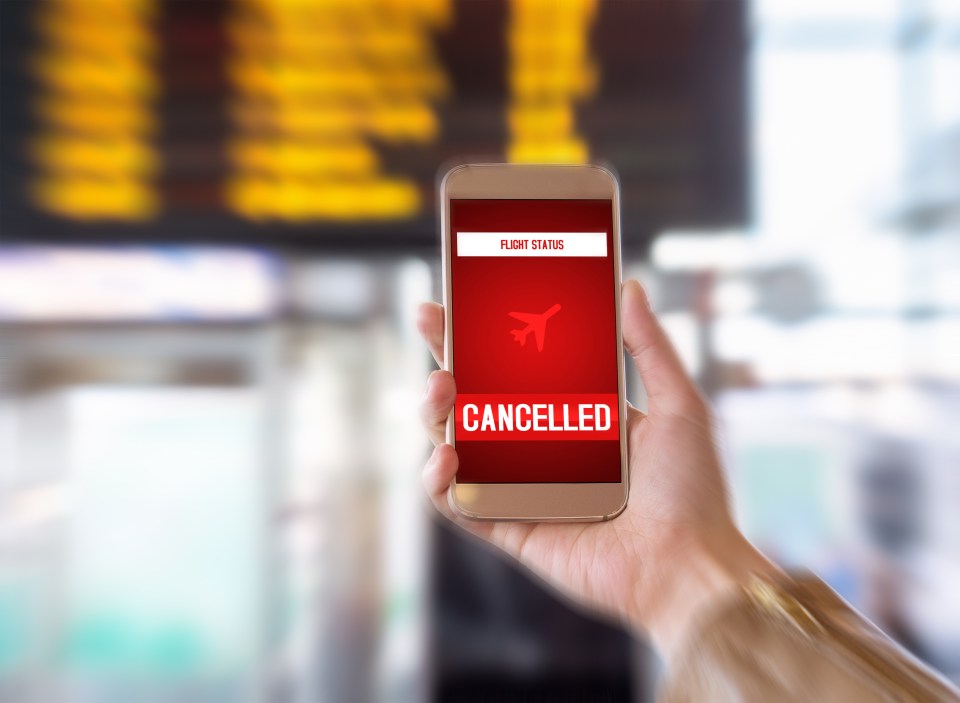 An airline staff member and travel blogger has revealed what to do if a flight is delayed or cancelled