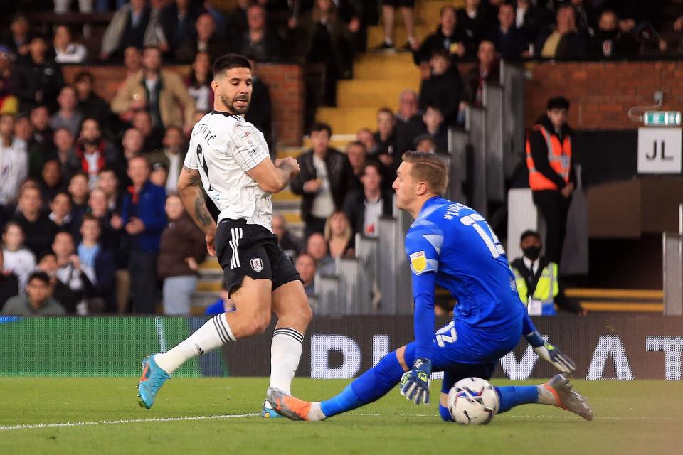 Aleksandar Mitrovic settled the nerves when he gave Fulham the lead after just nine minutes