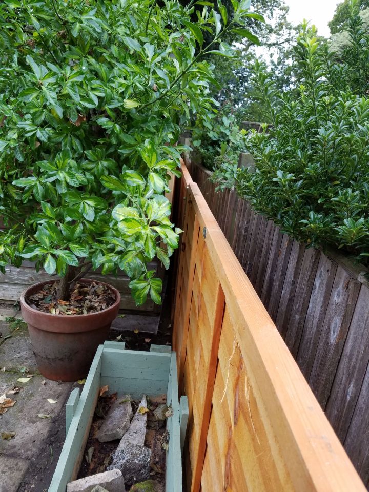 The double-fence in Philip and Denise's garden