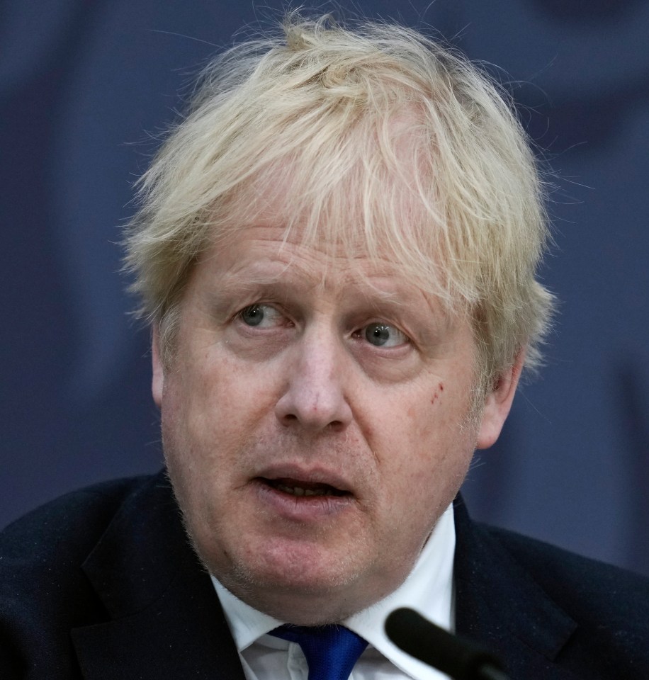 Tory MPs are rebelling against PM Boris Johnson