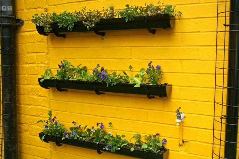 You can mount your own living wall for less than £50 with clever guttering a pretty plants