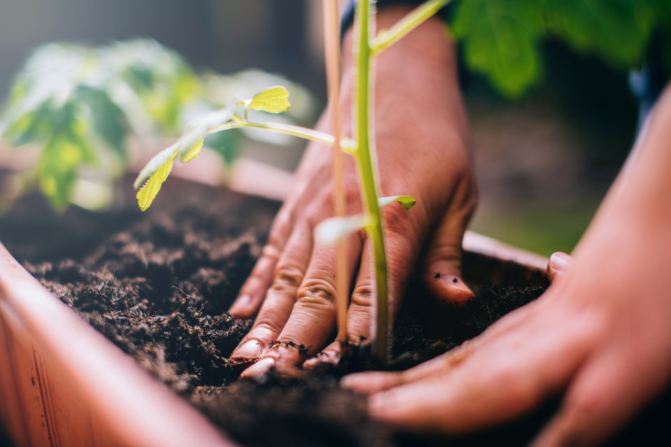 You can protect your plants without turning to drastic measures