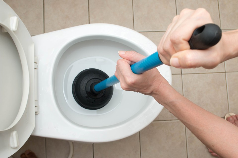 Using a plunger to unblock a toilet might be the easiest way, but some other methods work just as well