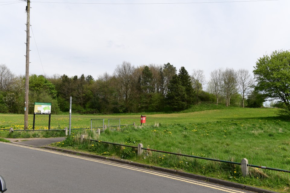 A nearby park provides some outdoor space for any future family who might want to invest in the project