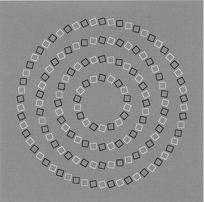 The mind-boggling illusion left people in a spin - literally