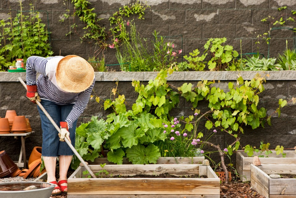 The neighbour seemed fine...until she caught them in their garden