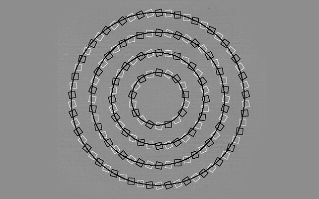 What appears to be a moving spiral is actually just four concentric circles