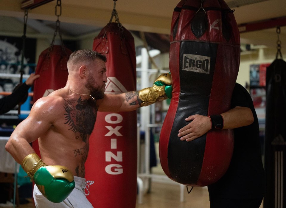 Conor McGregor's muscles were bursting at the seams during a recent boxing workout