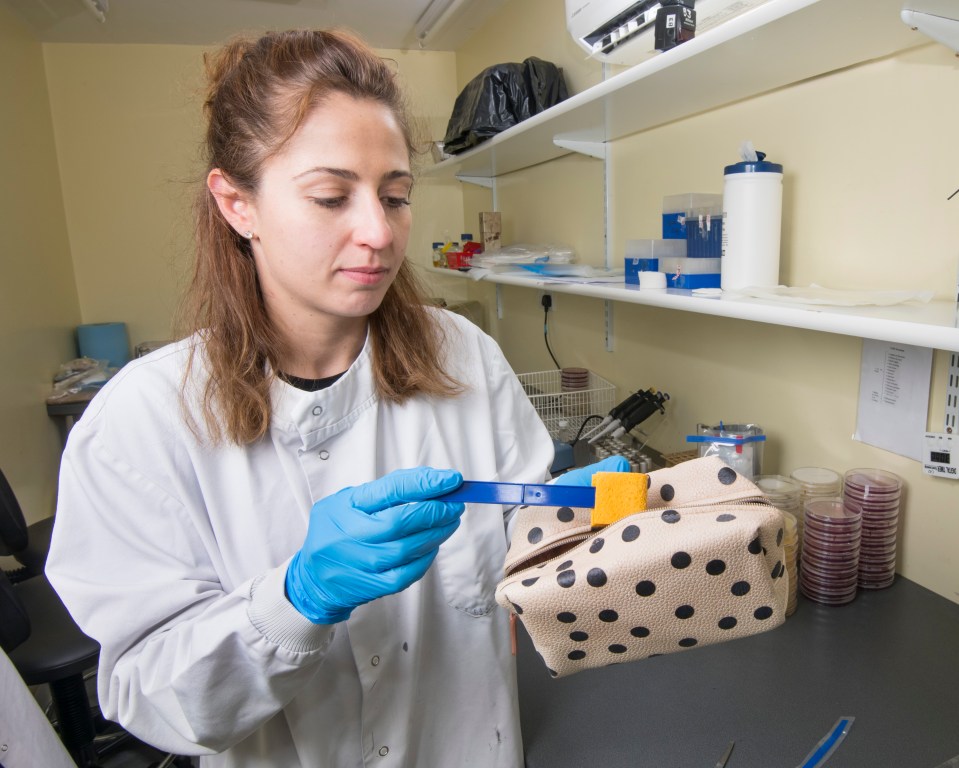 Lynsey's make-up bag was surprisingly clean and there was no E. coli