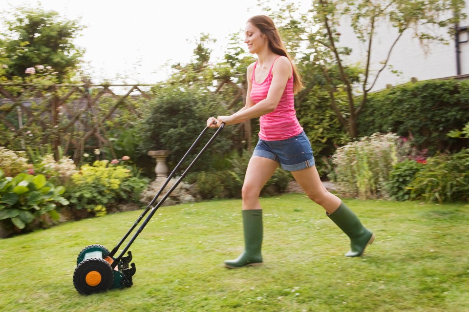 Love it or hate it, if you own a garden, mowing the lawn is an essential task