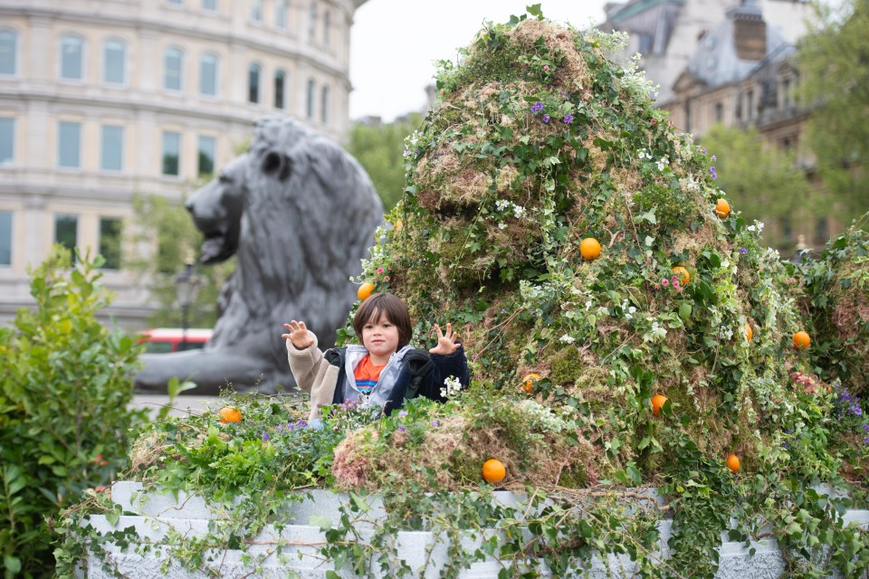 A team of top gardeners and horticulturists worked through the night to turn the 30m x 20m space into a green paradise