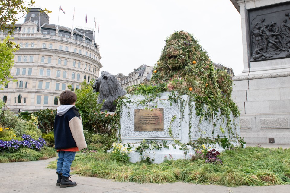 The landmark area was filled with more than 6,000 plants, flowers, and trees