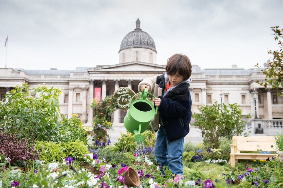 48 per cent of adults think most cities and rural areas have become too sterile and concrete