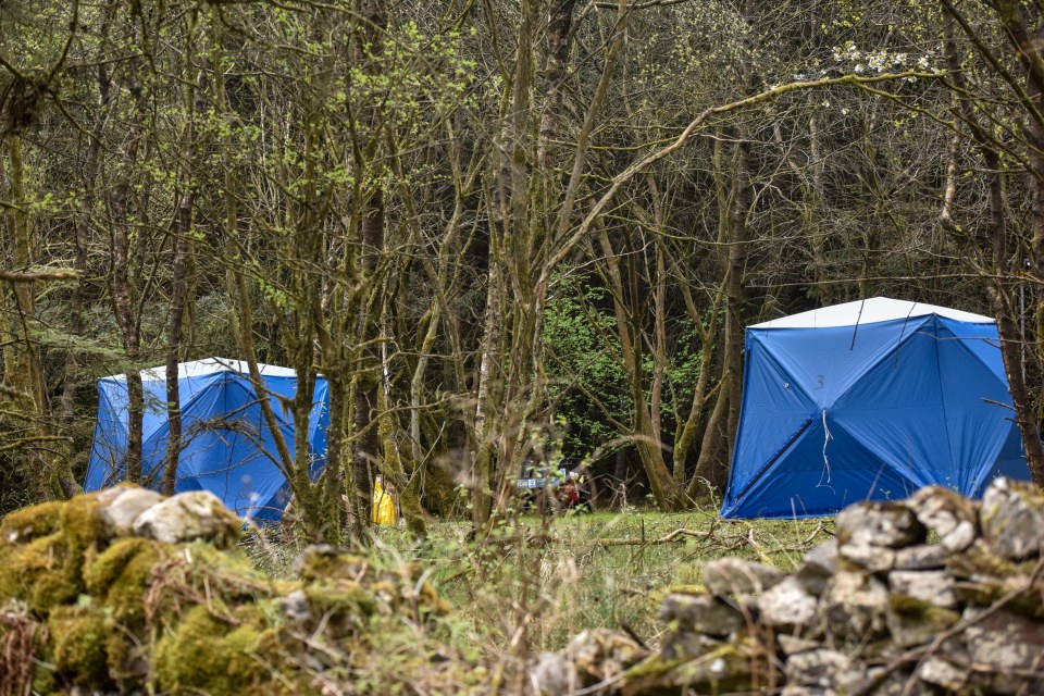 Police have now set up forensic tents in the woods