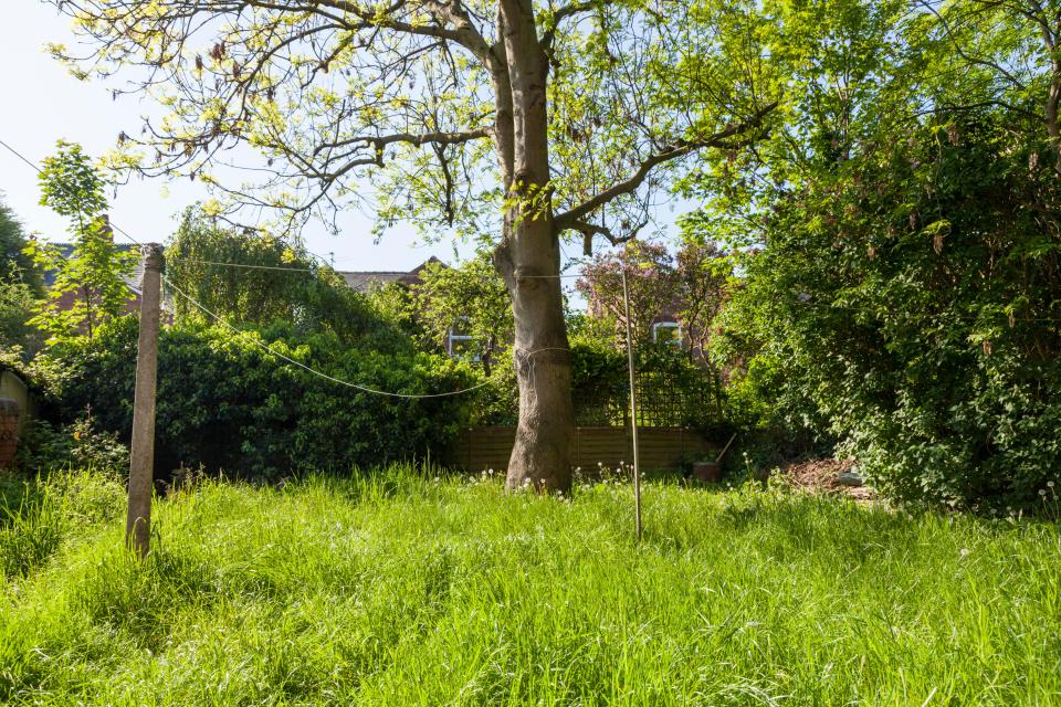 People with hairy armpits are urging gardeners to put their lawnmowers in the shed and have a No Mow May