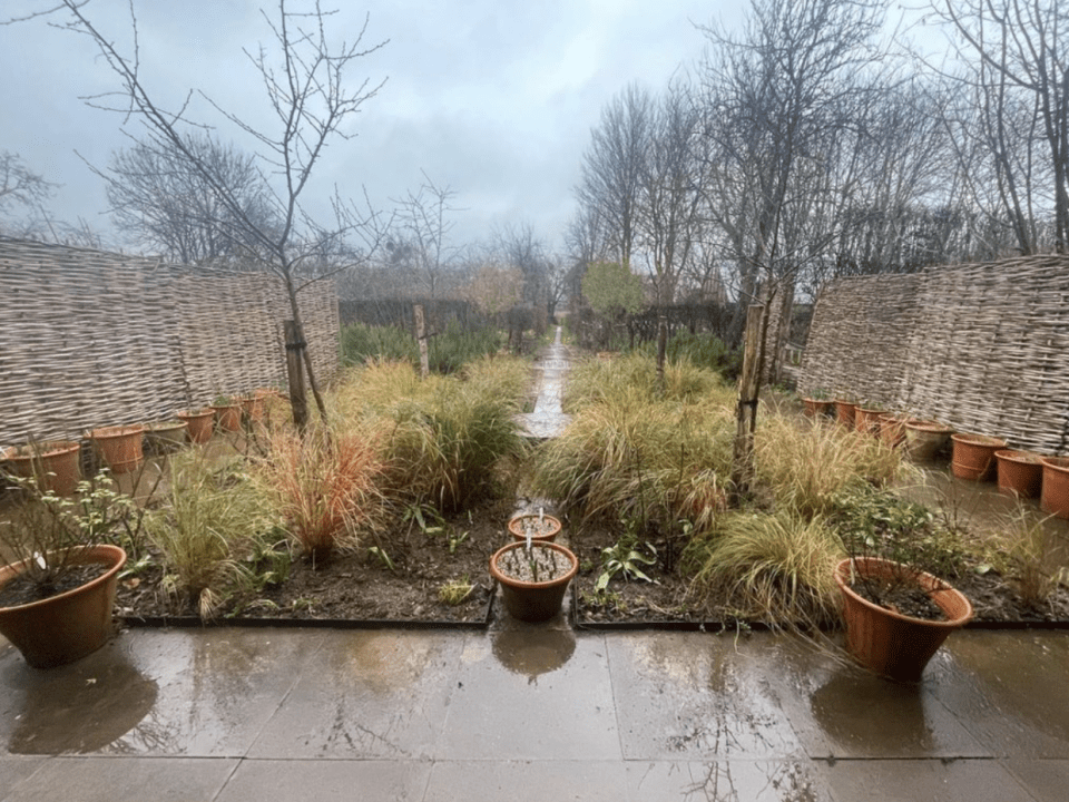 Monty Don's garden looks completely different in the winter