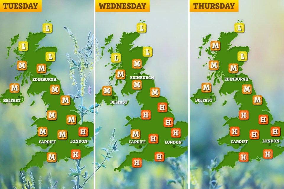 The pollen graphs above show how pollen levels are set to rise throughout this week across the UK