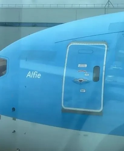 Radford fans were quick to point out that the plane was called Alfie, which is the same name as one of Sue's sons