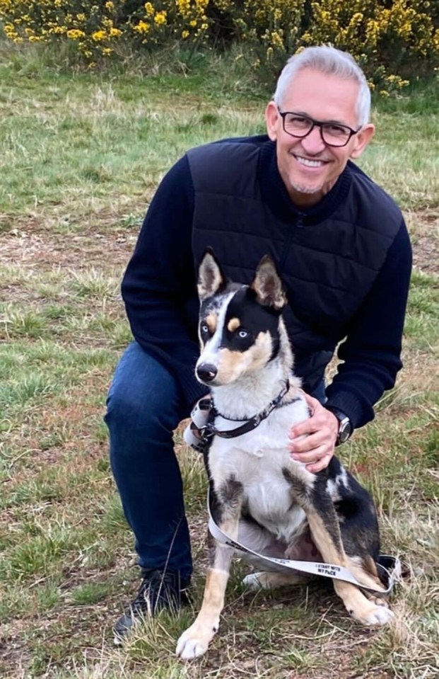 Gary Lineker has adopted a rescue dog and flown it over to the UK from California