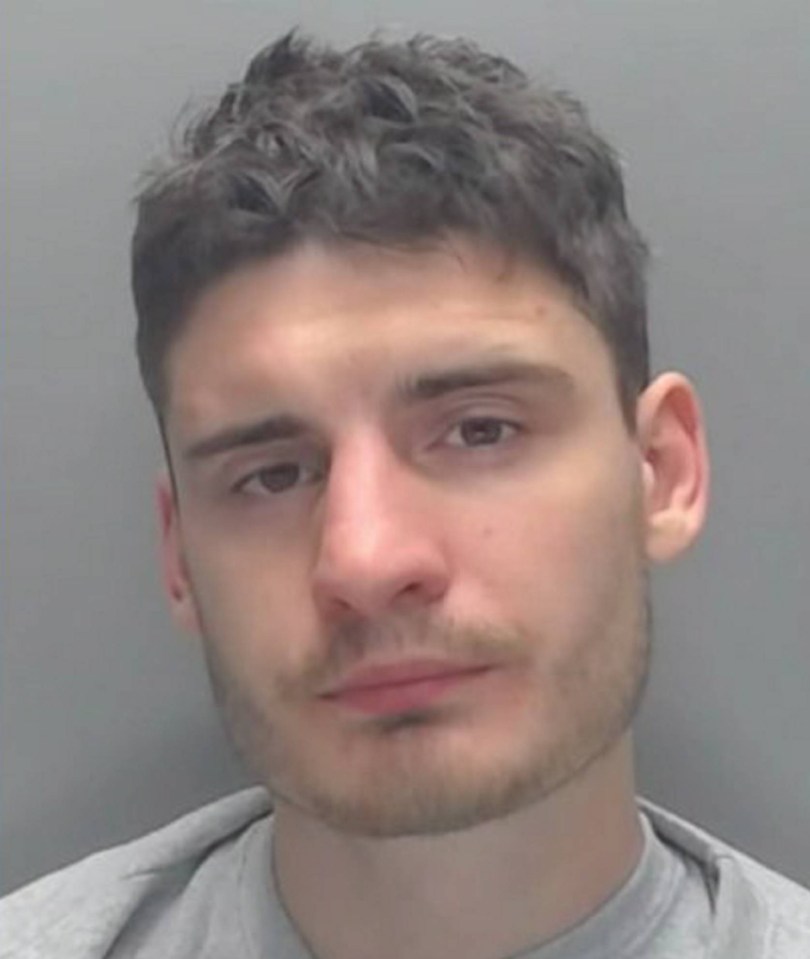 Thomas Brazell was jailed for seven years over the attack