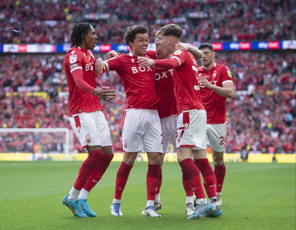 Forest survived two second-half penalty shouts from the Terriers