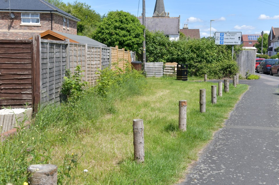 They ignored warning signs during ‘No Mow May’ and left only clumps of brambles and dandelions untouched