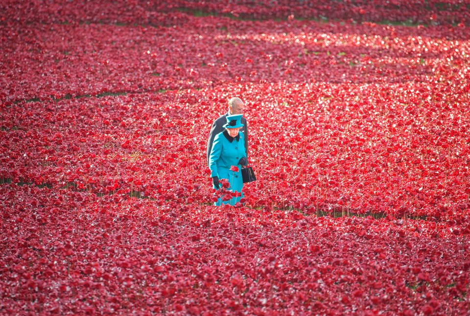 Her Majesty and Prince Philip walk amid a sea of 888,246 ceramic poppies at the Tower of London