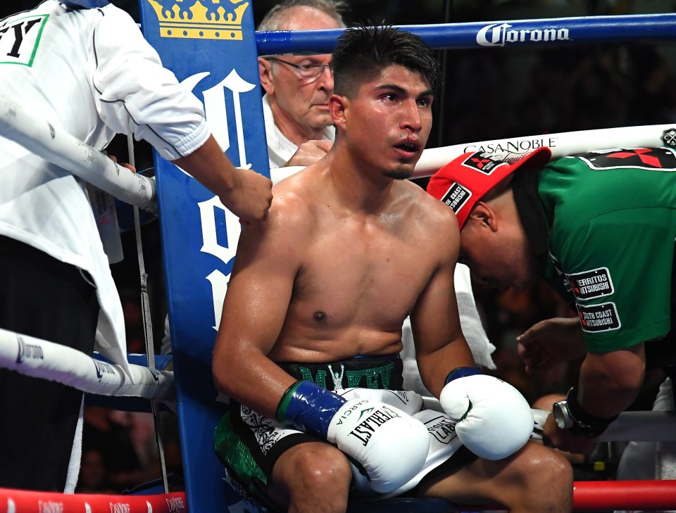 Four-weight world champion Mikey Garcia has been coached by Robert