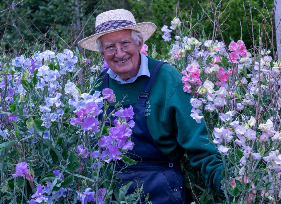 The first plant legendary Sun gardening guru Peter Seabrook ever grew was a sweet pea