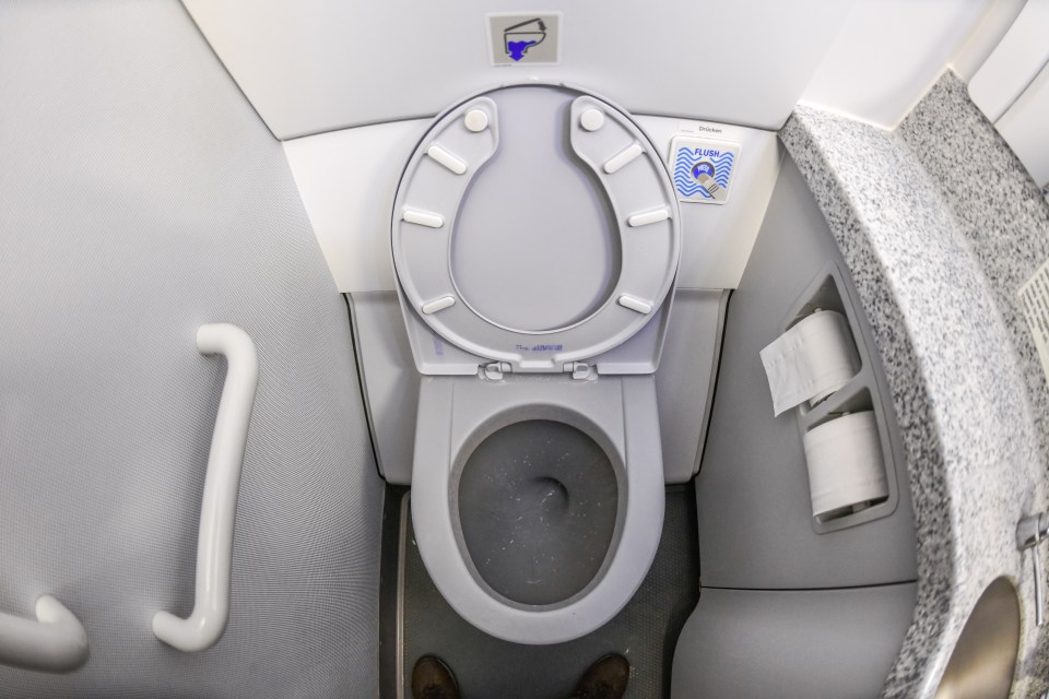 Plane toilets are notoriously dirty