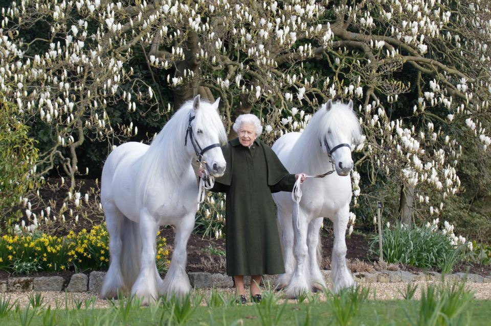 Her Majesty was pictured with two of her fell ponies in a snap to mark her 96th birthday last month