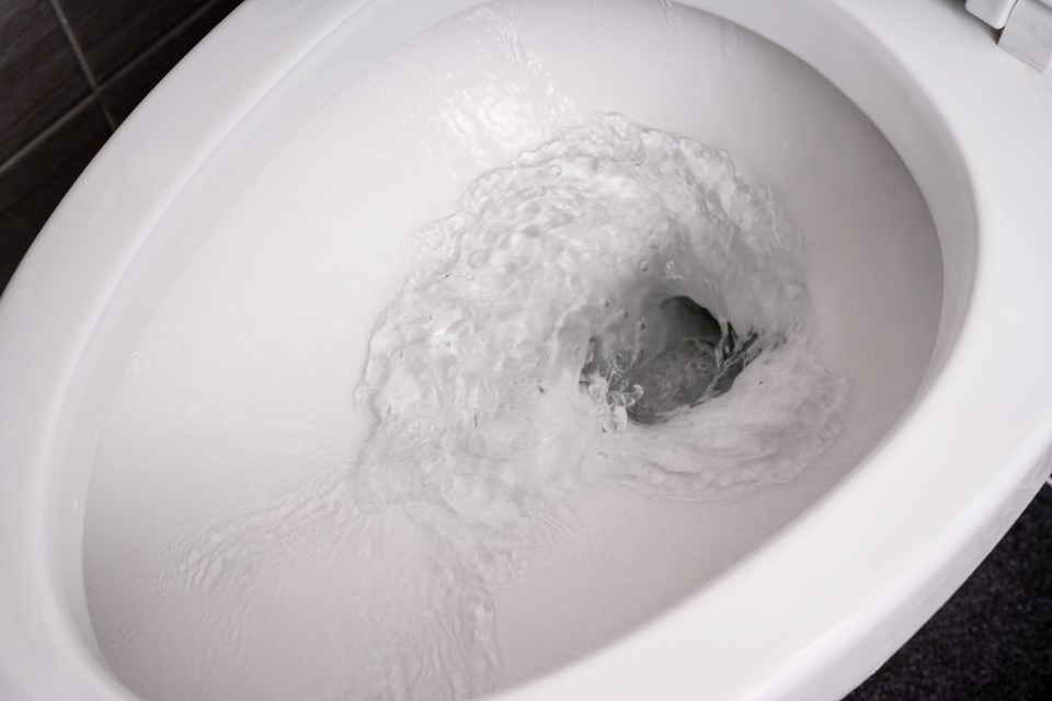 Waste water from toilets could be turned into drinking water under a 'sewage beverage' scheme