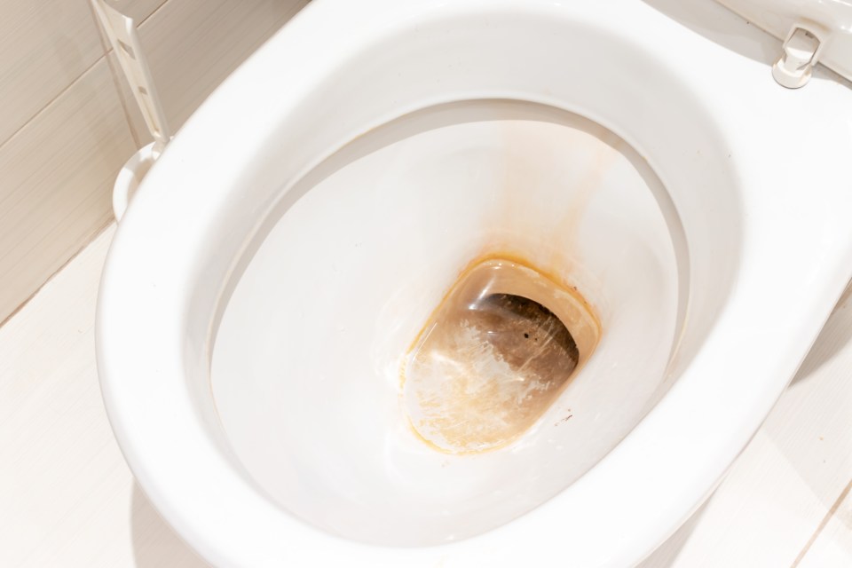 Cleaning enthusiasts have found a cheap way to remove limescale without scratching the toilet bowl