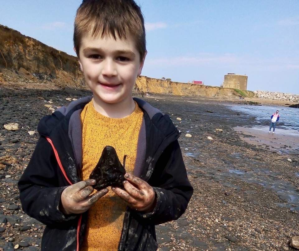 Sammy Shelton, 6, found a tooth from a giant prehistoric shark three times the size of great whites