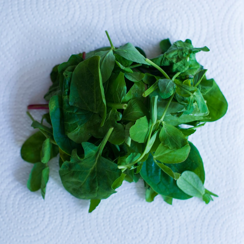 Place a sheet of kitchen paper into a bag of leaves and it will help absorb moisture