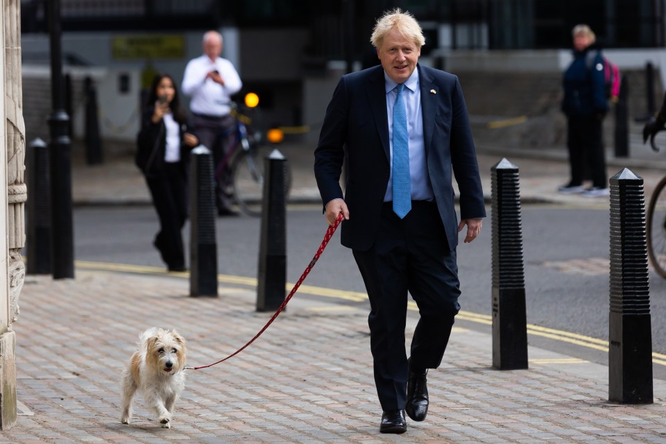 Boris Johnson was spotted heading off to cast his vote in Westminster with dog Dilyn on Thursday