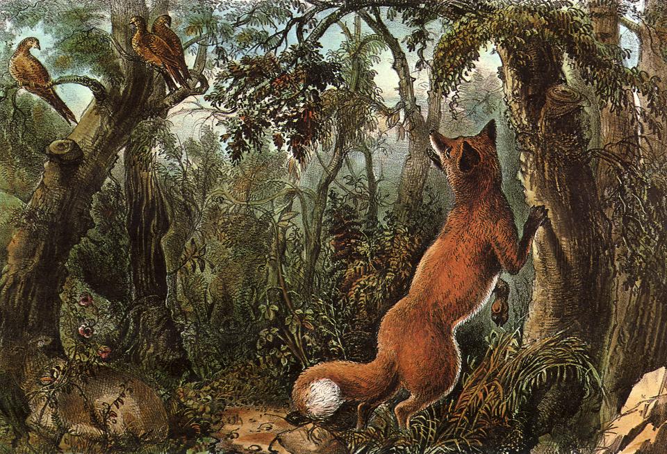 The Hidden Fox was first published in 1872 but STILL baffles people