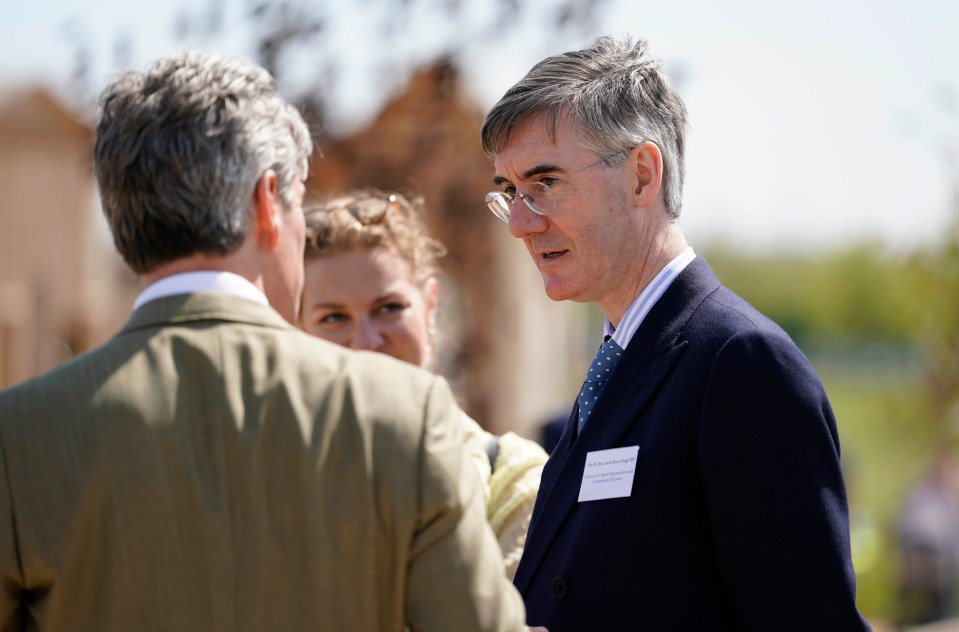 Jacob Rees-Mogg said the reduced speed limit merely ‘obstructs the flow of traffic’