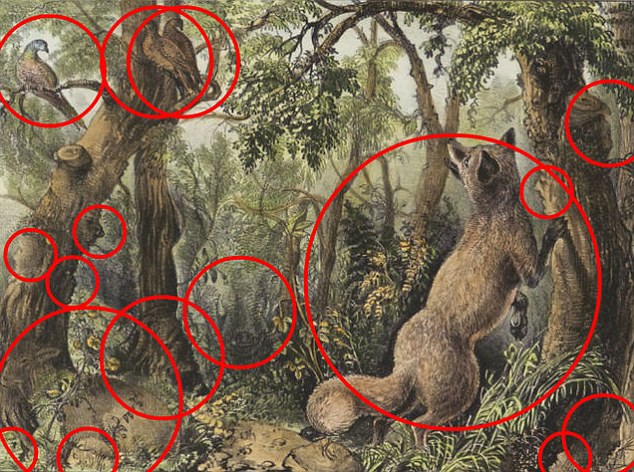 There are 16 animal and human faces hidden amongst the forest with the fox