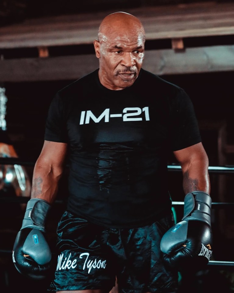 Mike Tyson has confirmed his interest in fighting Jake Paul